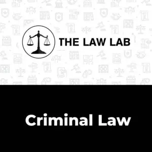 Criminal Law (Sunday, 7:00pm - 8:30pm )